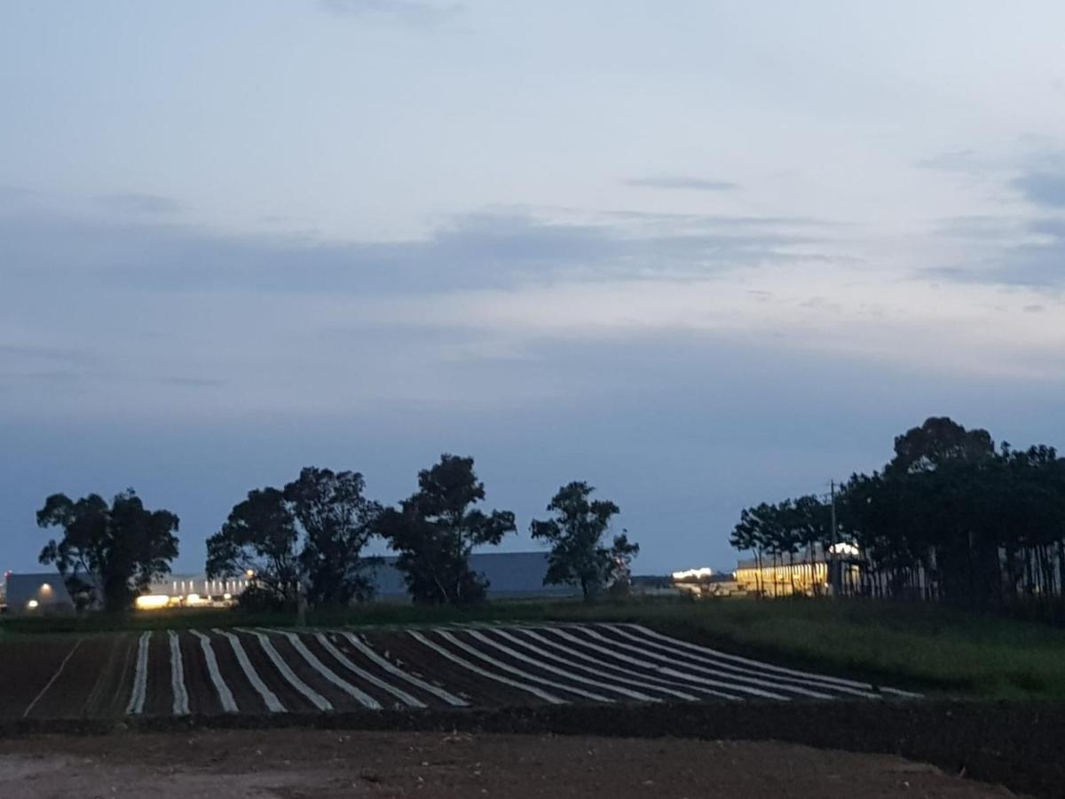 Agriturismo Il Casale Понте Галерия Екстериор снимка